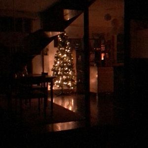 Meet your Posher, Genevieve